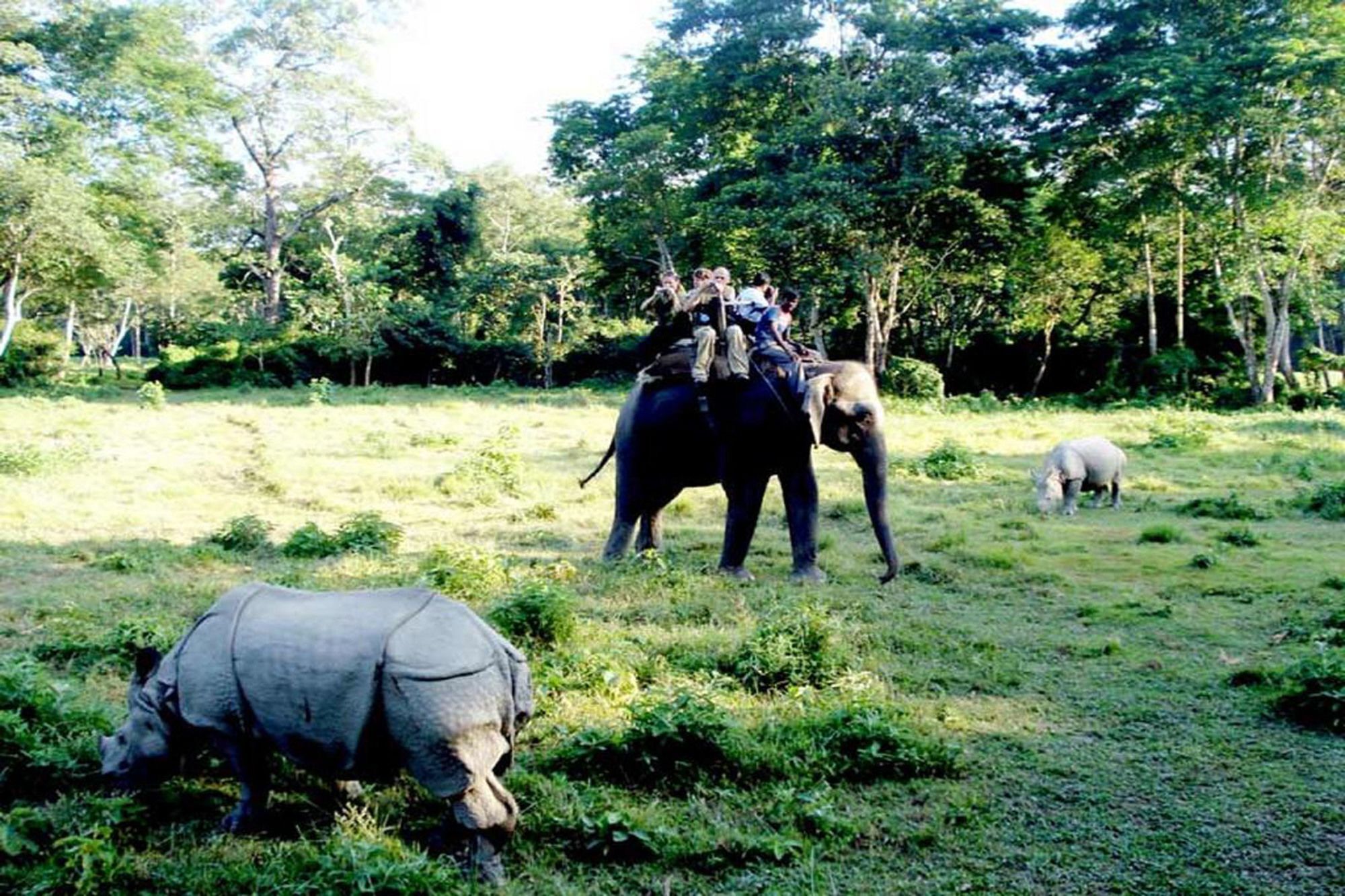 Safari Wildlife Lodge And Camp Chitwan Extérieur photo